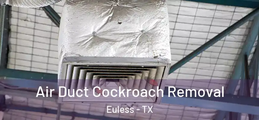 Air Duct Cockroach Removal Euless - TX