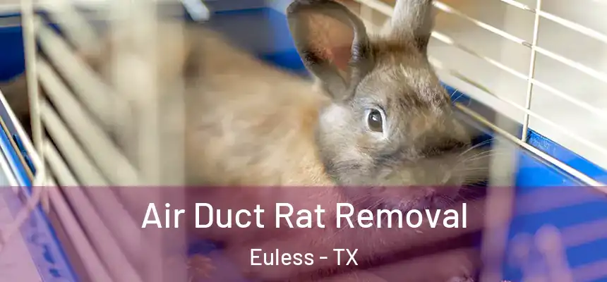  Air Duct Rat Removal Euless - TX