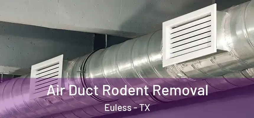 Air Duct Rodent Removal Euless - TX