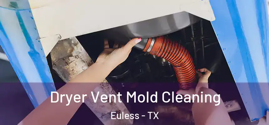  Dryer Vent Mold Cleaning Euless - TX