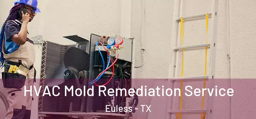 HVAC Mold Remediation Service Euless - TX