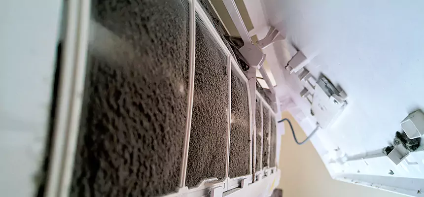 Preventive Air Duct Bacteria Removal in Euless