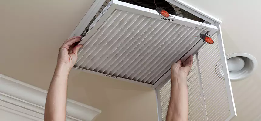 Our Insect Removal from Air Ducts Services in Euless, TX