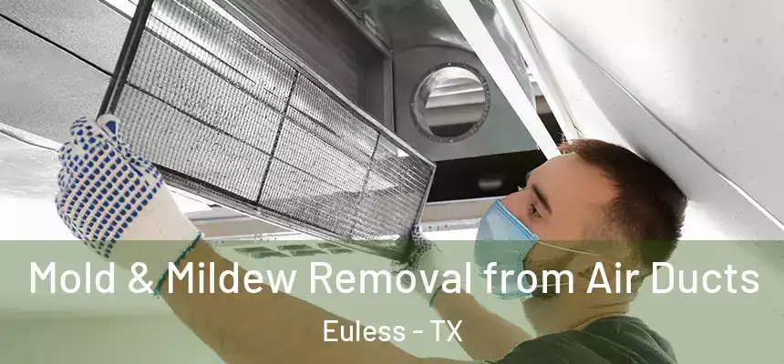 Mold & Mildew Removal from Air Ducts Euless - TX