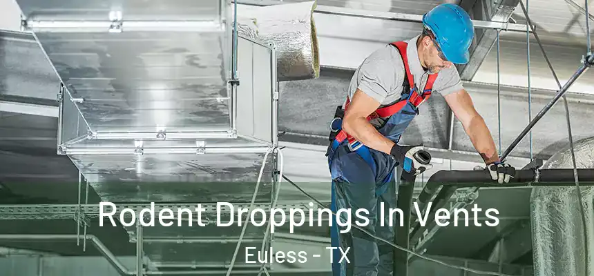 Rodent Droppings In Vents Euless - TX