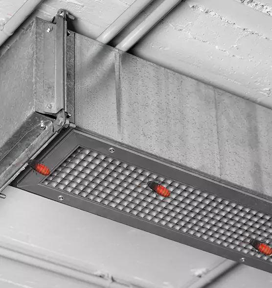 Affordable Insect Removal from Air Ducts in Euless, TX