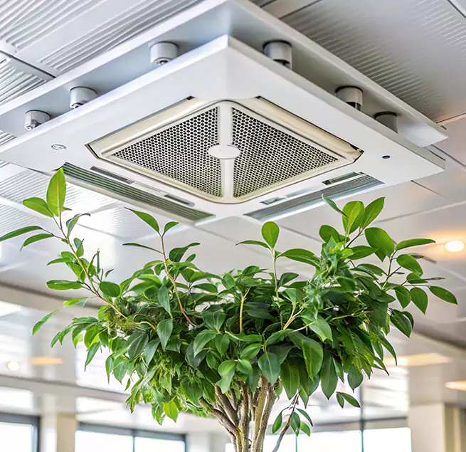 Why Homeowners & Businesses Trust Us in Euless, TX